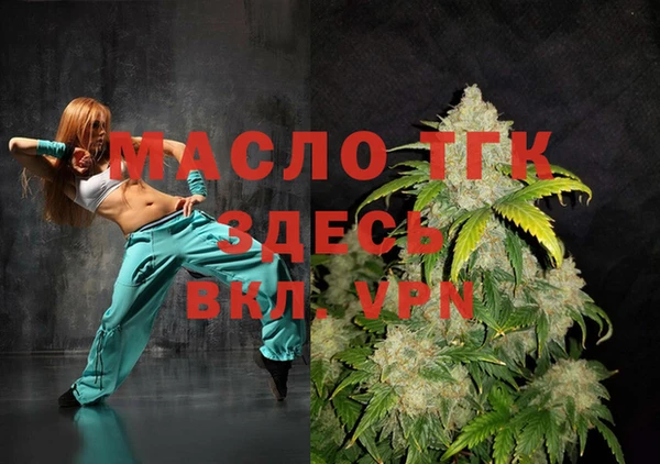 хмурый Арсеньев