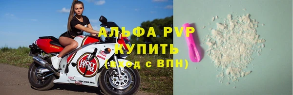 стафф Аркадак