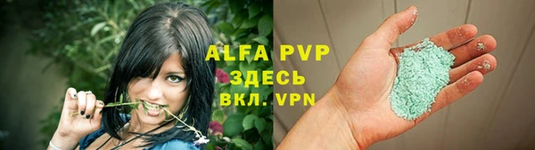 стафф Аркадак