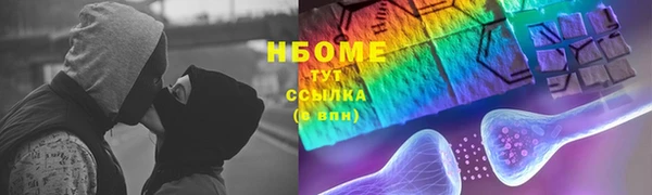 хмурый Арсеньев