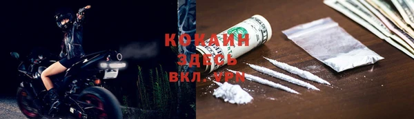 стафф Аркадак