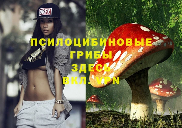 молекула духа Армянск