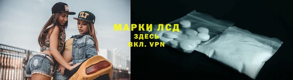 стафф Аркадак