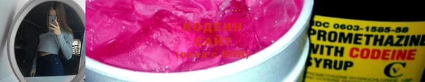 хмурый Арсеньев
