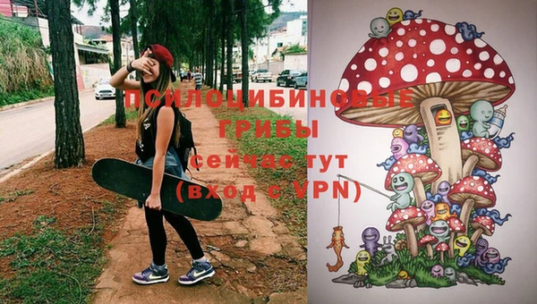 стафф Аркадак