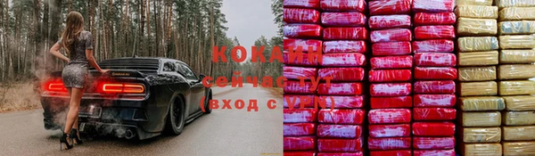 стафф Аркадак