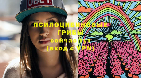 хмурый Арсеньев