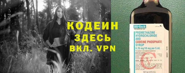 хмурый Арсеньев