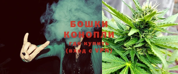 молекула духа Армянск