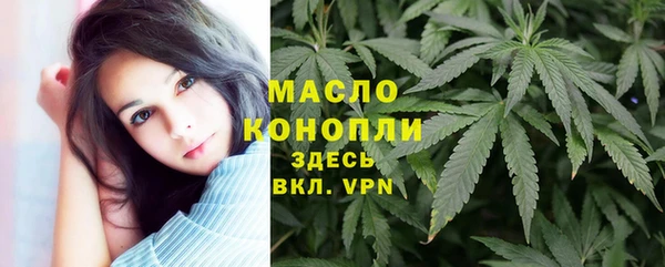 хмурый Арсеньев
