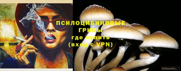 хмурый Арсеньев