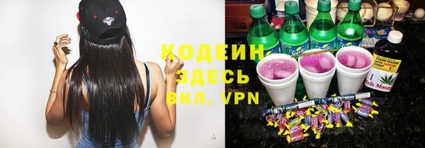 хмурый Арсеньев
